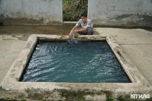 The Mysterious 'Fairy Wells' and the Legend of the Grateful Snake Spirit - image 4
