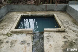 The Mysterious 'Fairy Wells' and the Legend of the Grateful Snake Spirit - image 1