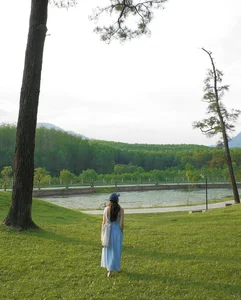 Walking Through the Ancient Pine Forest at Gia Long Tomb in Hue - image 7