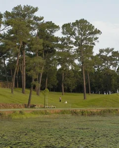 Walking Through the Ancient Pine Forest at Gia Long Tomb in Hue - image 3