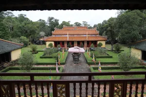 Walking Through the Ancient Pine Forest at Gia Long Tomb in Hue - image 4