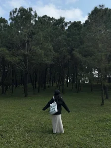 Walking Through the Ancient Pine Forest at Gia Long Tomb in Hue - image 0
