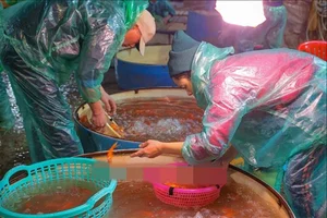 Hanoi’s Largest Fish Market Buzzes Ahead of Kitchen Gods’ Day - image 0