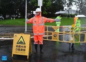 Visual Impact: Typhoon Wipha Makes Landfall in Southern China Regions - image 5
