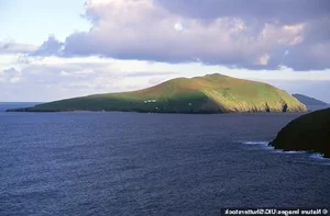 Off-Grid Living: Couple Abandons Modern Comforts for Remote Island Life - image 1
