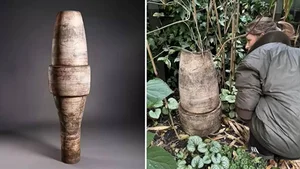 The Mystery of the Broken Flower Pot: Why This Garden Item Sold for an Unbelievable Price - image 2