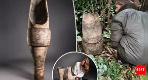 The Mystery of the Broken Flower Pot: Why This Garden Item Sold for an Unbelievable Price - image 0
