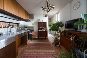 Innovative Design: How Windowless Tube Houses Stay Bright and Airy - image 5