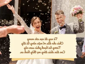 Professional Wedding MC Scripts: How to Deliver an Unforgettable Ceremony - image 3