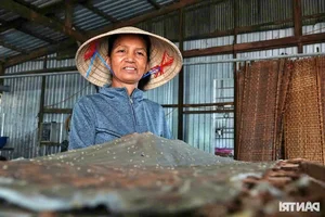 Inside the Mekong Delta’s Largest Rice Paper Village Working Overnight for Tet Demand - image 6