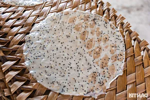 Inside the Mekong Delta’s Largest Rice Paper Village Working Overnight for Tet Demand - image 4