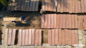 Inside the Mekong Delta’s Largest Rice Paper Village Working Overnight for Tet Demand - image 2