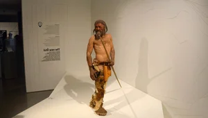 The Fascinating Secrets of the Perfectly Preserved Ice Man - image 6