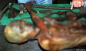 The Fascinating Secrets of the Perfectly Preserved Ice Man - image 3