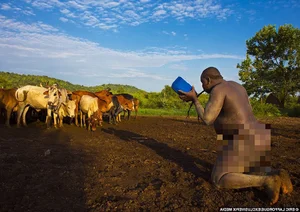 The Bodi Tribe: Where Big Bellies Are a Symbol of Status and Beauty - image 5