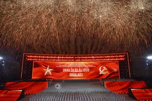 Hanoi Crowds Brave 12C Cold for Spectacular My Dinh Fireworks - image 27