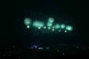 Hanoi Crowds Brave 12C Cold for Spectacular My Dinh Fireworks - image 17