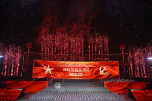 Hanoi Crowds Brave 12C Cold for Spectacular My Dinh Fireworks - image 30