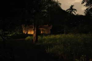 Trekking Through Cat Ba Jungle to Discover the Ancient Viet Hai Village - image 6