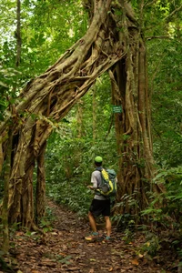 Trekking Through Cat Ba Jungle to Discover the Ancient Viet Hai Village - image 9