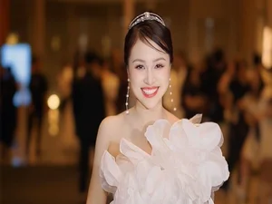 Vietnamese Celebrities React to Fines: A Look at Public Accountability - image 0