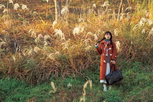Capturing Serenity: YiTuYu Art Language Vol.6749 Spotlight on Zzz - image 8