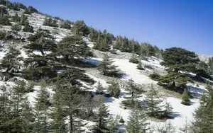 Exploring Lebanon: A Journey Through History, Culture, and Hidden Mediterranean Gems - image 3