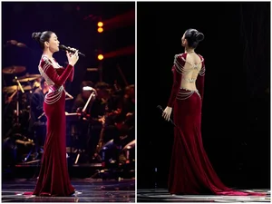 Singer Le Quyen Flaunts Stunning Figure and Timeless Elegance - image 0