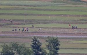 Unveiling Daily Life in North Korea: A Rare Glimpse from Across the Border - image 11