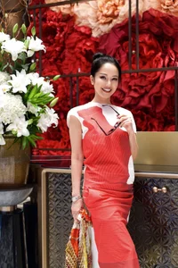 Diva Hong Nhung's Ageless Elegance and Nhat Kim Anh's Bold Style Transformation - image 9