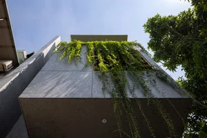Inside Hanoi's Stunning Nature-Infused Townhouse: A Green Oasis in the City - image 5