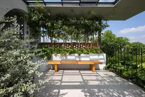 Inside Hanoi's Stunning Nature-Infused Townhouse: A Green Oasis in the City - image 0
