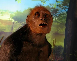 World's Oldest Wooden Artifacts: Unlocking the Ancient Mysteries of Human Ancestors - image 6