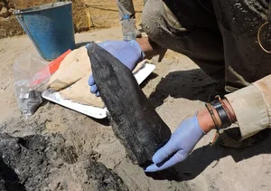 World's Oldest Wooden Artifacts: Unlocking the Ancient Mysteries of Human Ancestors - image 1