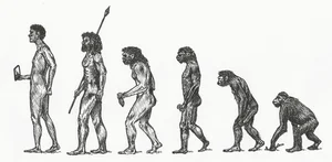 World's Oldest Wooden Artifacts: Unlocking the Ancient Mysteries of Human Ancestors - image 2
