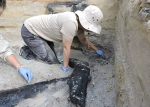 World's Oldest Wooden Artifacts: Unlocking the Ancient Mysteries of Human Ancestors - image 5