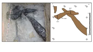 World's Oldest Wooden Artifacts: Unlocking the Ancient Mysteries of Human Ancestors - image 7
