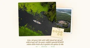 Eco-Tourism in Long An: Exploring Floating Villages and Medicinal Forests in the Endless Field - image 8