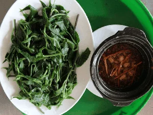 From Garden Weeds to Gourmet Delicacies: The Rise of Forgotten Wild Vegetables - image 2