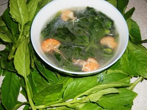 From Garden Weeds to Gourmet Delicacies: The Rise of Forgotten Wild Vegetables - image 6
