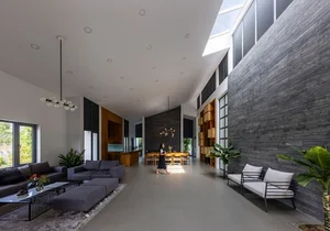 Innovative Heat-Resistant House with Wide Spreading Roof in Dong Nai - image 0