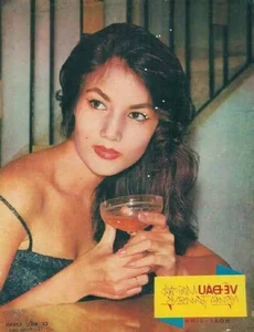 Vietnam's Hollywood Star: The Incredible Legacy of a Legendary Actress - image 5