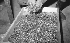 Capturing the Past: Rare Historical Photos That Changed Our Perspective - image 4