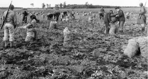 Capturing the Past: Rare Historical Photos That Changed Our Perspective - image 3