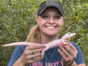 Unbelievable Features: A Rare Look at the World's Rarest Crocodile Species - image 3