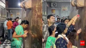 The Mystery of the Ancient Phoenix Tree Crying Holy Water Revealed by Experts - image 0