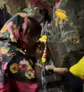 The Mystery of the Ancient Phoenix Tree Crying Holy Water Revealed by Experts - image 2