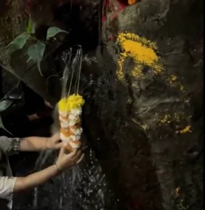 The Mystery of the Ancient Phoenix Tree Crying Holy Water Revealed by Experts - image 9