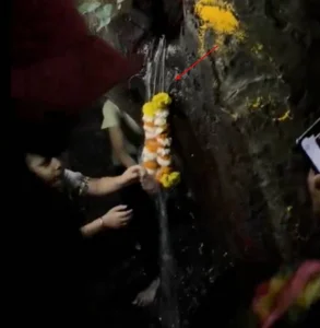 The Mystery of the Ancient Phoenix Tree Crying Holy Water Revealed by Experts - image 6
