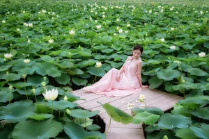 Exploring Hang Mua: Capturing the Picturesque Lotus Season in Ninh Binh - image 6